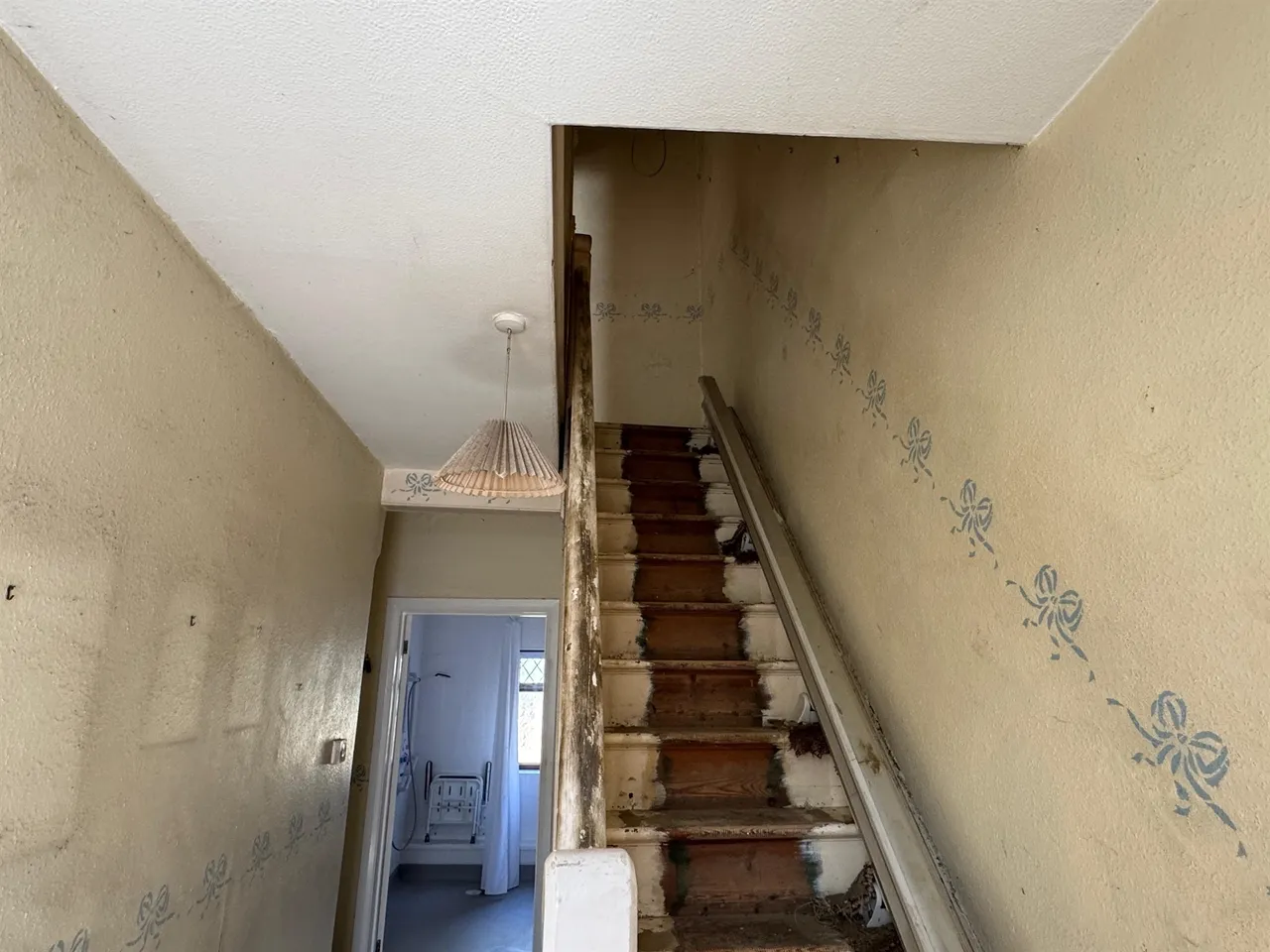 Coombe Road, Brighton, BN2, photo 19