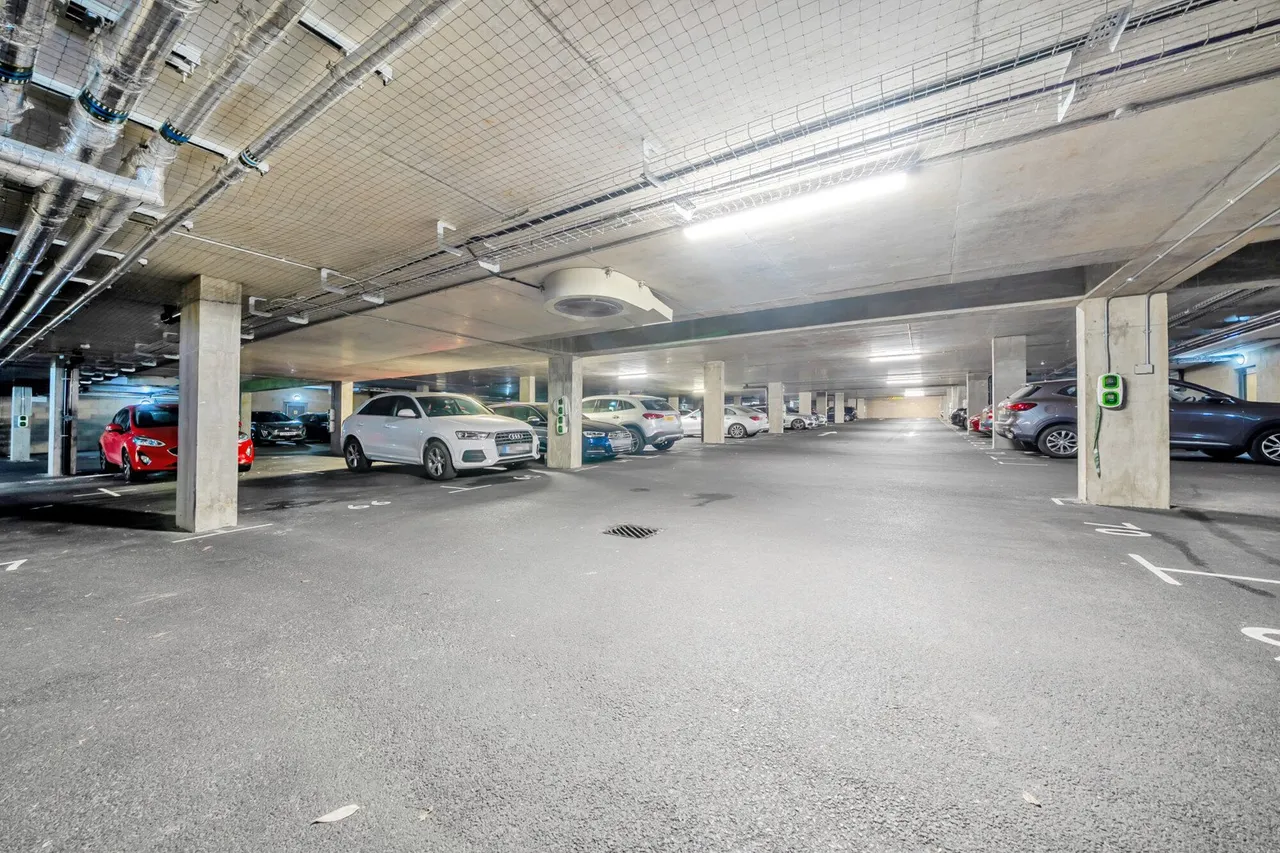 Apple Yard, SE20, photo 20