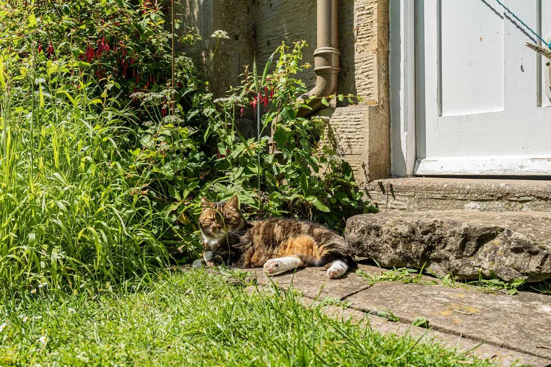 Shobdon, Leominster, photo 41