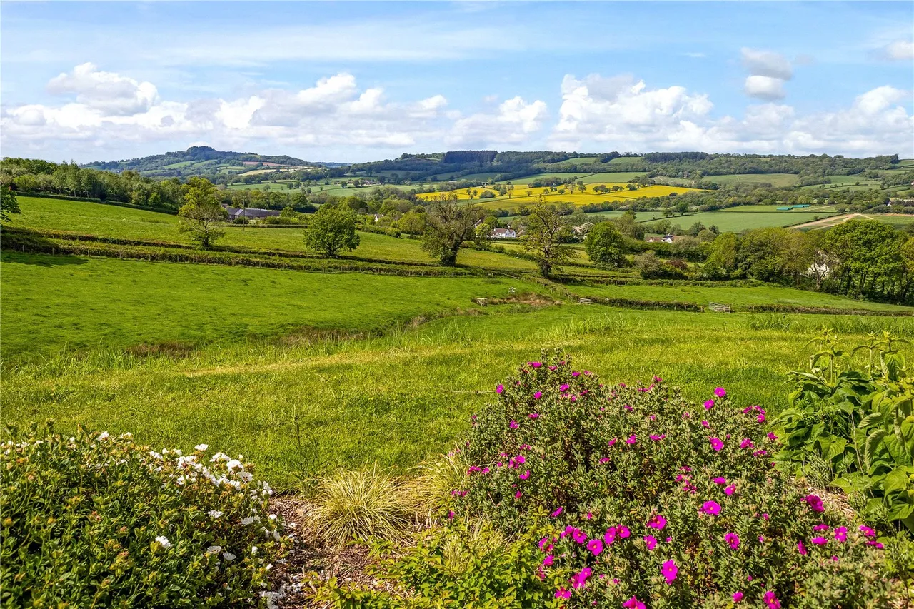Pound Lane, Upottery, Honiton, Devon, EX14 9QB, photo 9