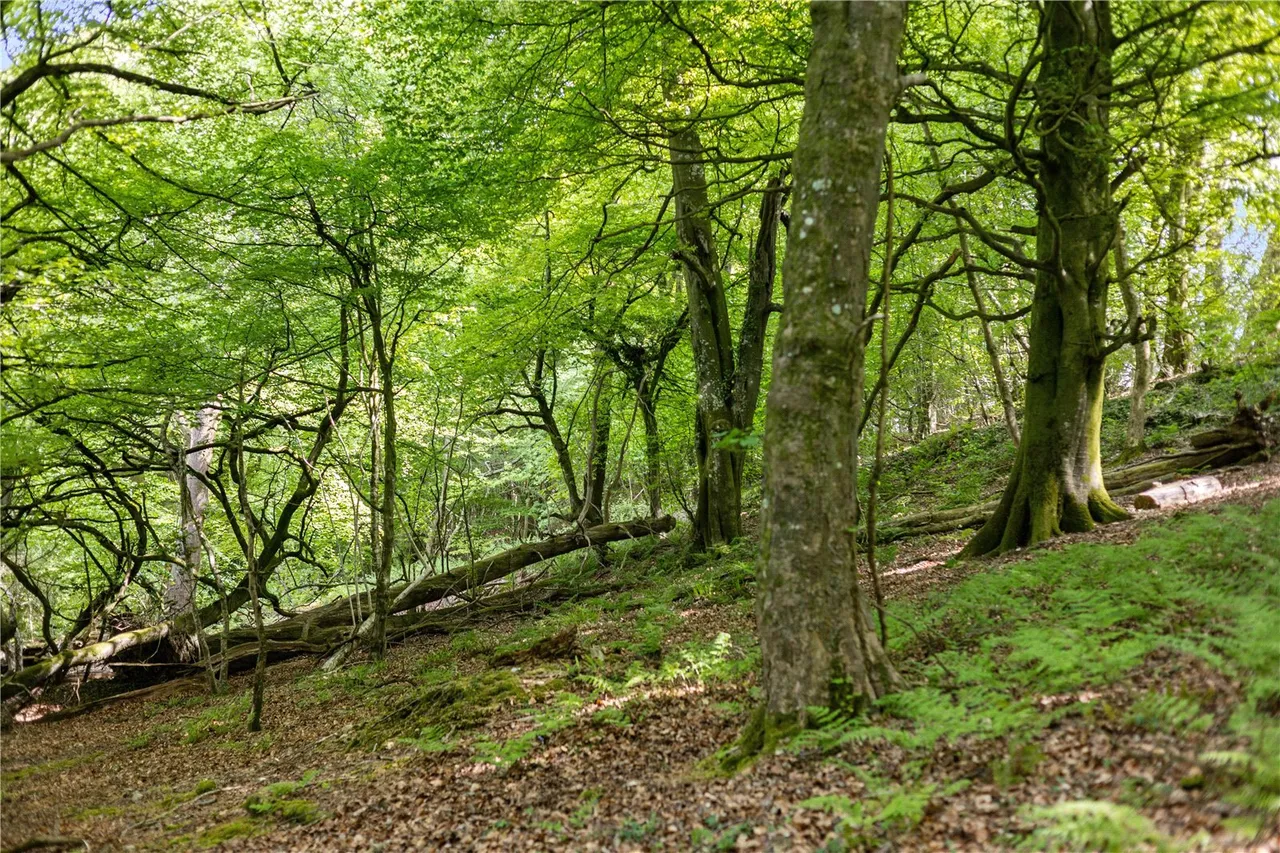 Pound Lane, Upottery, Honiton, Devon, EX14 9QB, photo 25