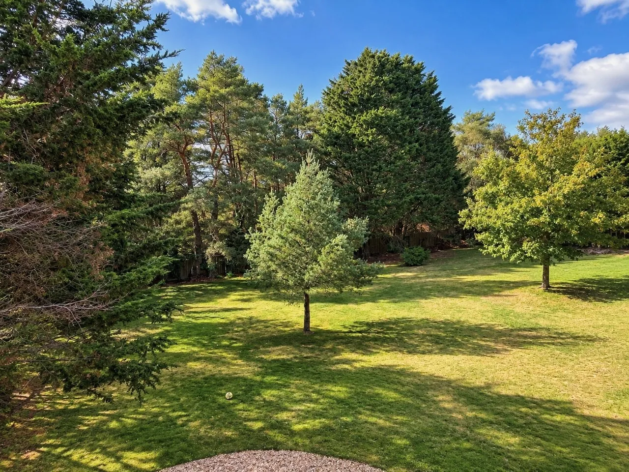 Hurn Road, Ringwood, BH24, photo 38