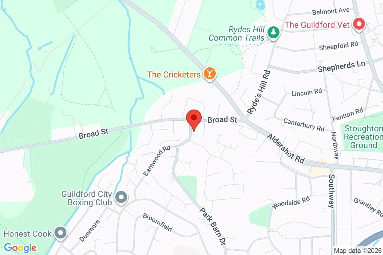 Broadacres, Guildford, GU3, photo 31