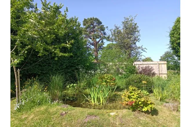Llangrove View, Ross-On-Wye, HR9, photo 31