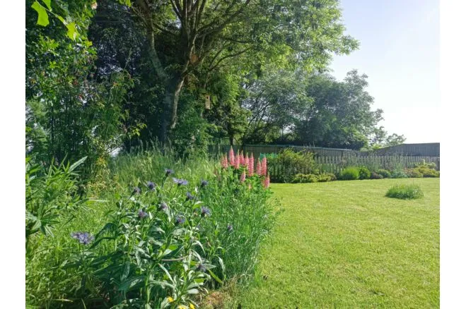 Llangrove View, Ross-On-Wye, HR9, photo 30