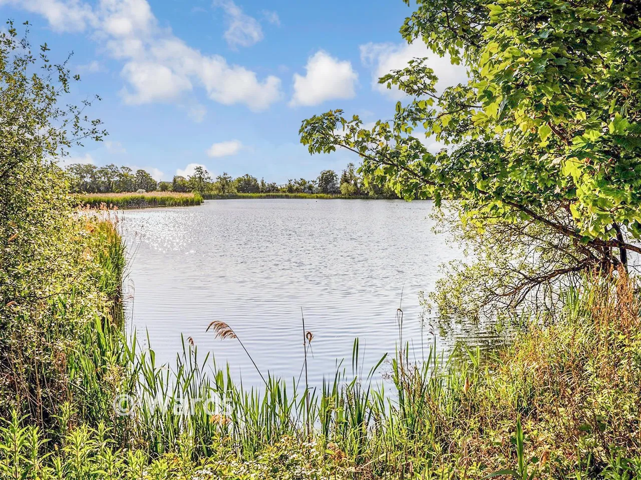 Dogwood Close, Faversham Lakes, ME13, photo 12