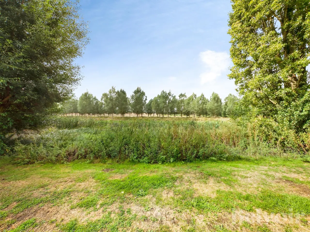 Bakers Court, Gt Cornard, CO10, photo 12