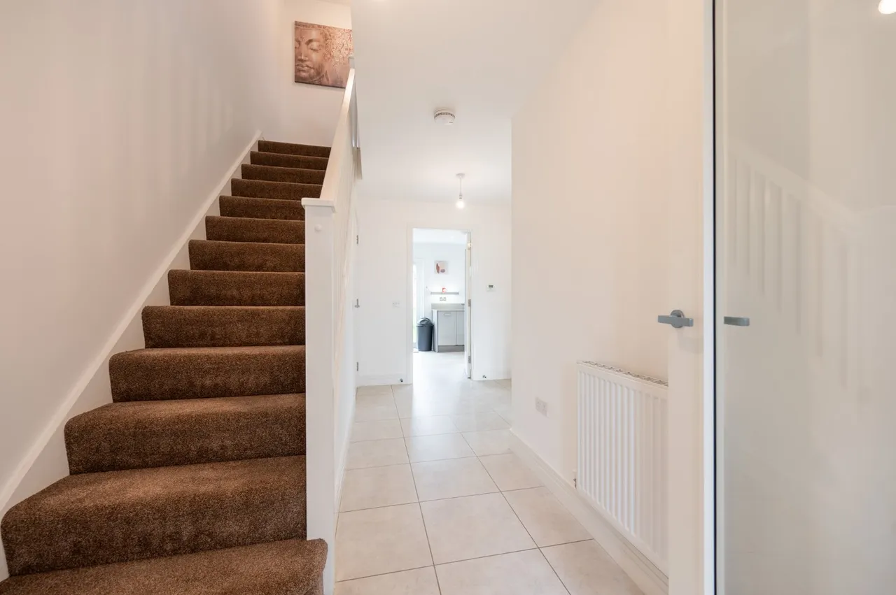 Raeside Grove, Newton Mearns, G77, photo 16