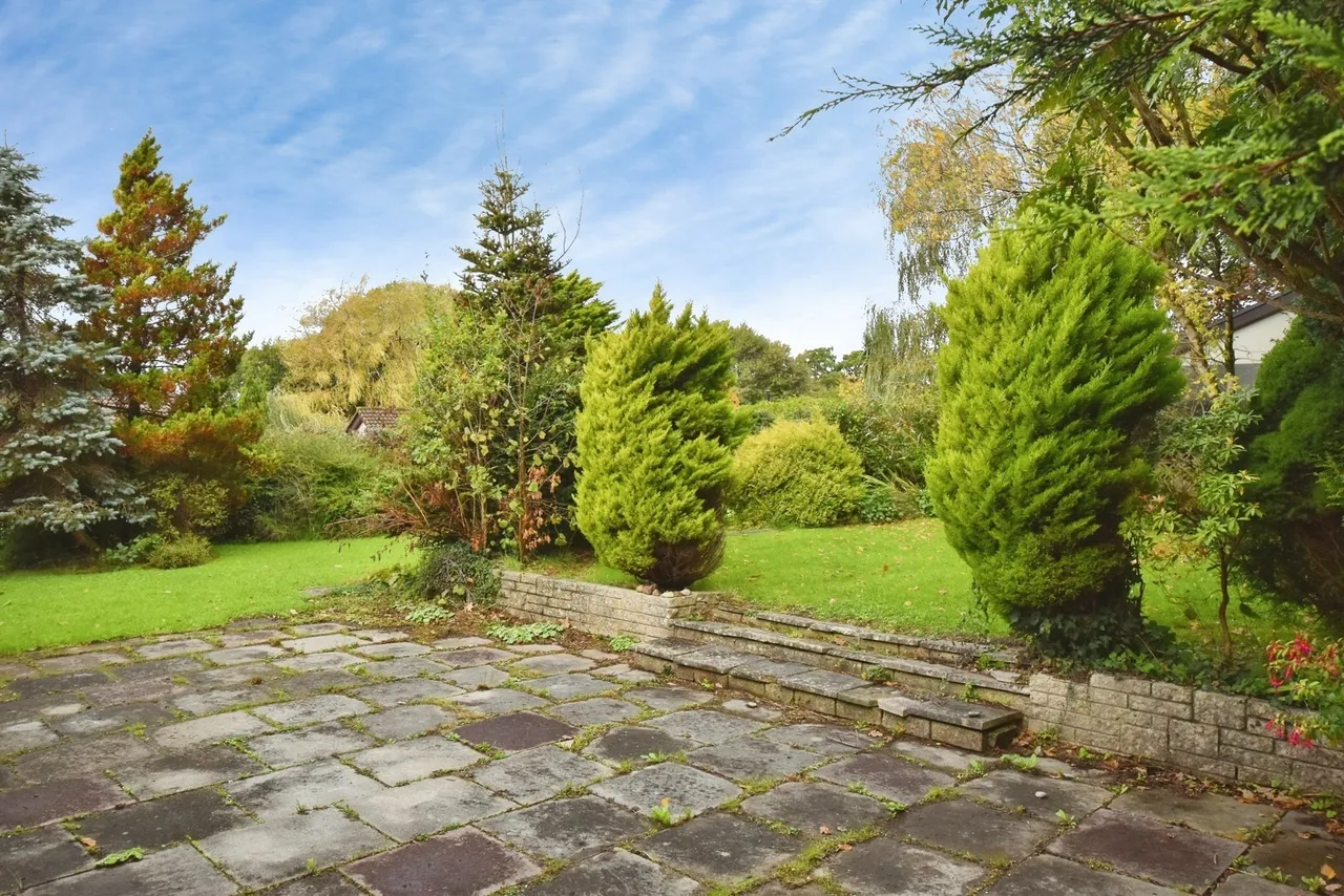 Woodlands Park, Ammanford, SA18, photo 11