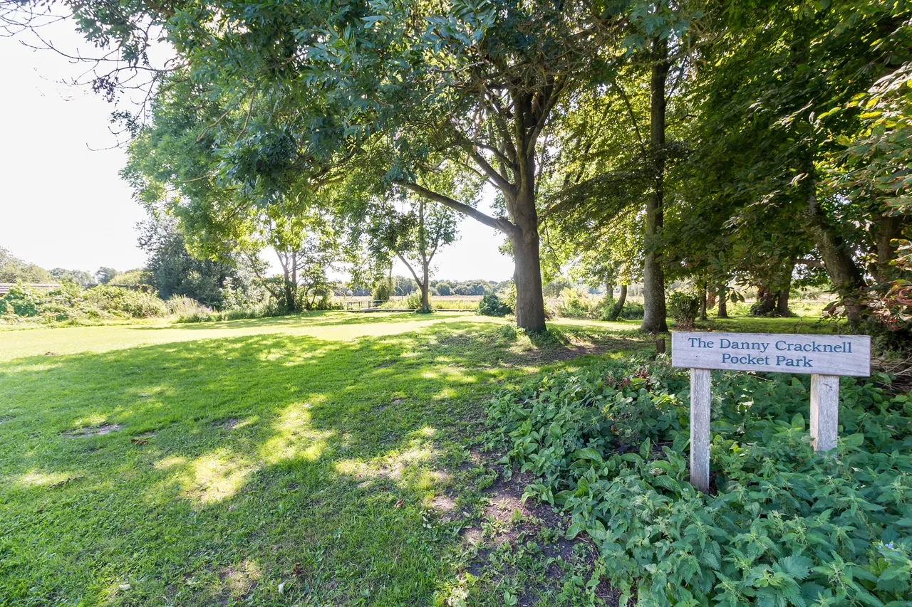 1A Bickerley Road, Ringwood, BH24 1EF, photo 21