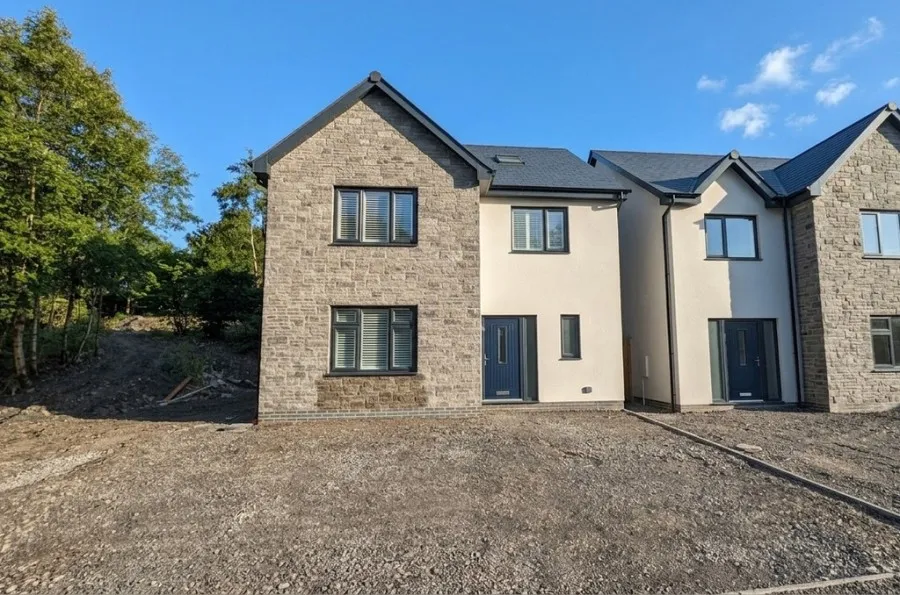Cwm Woods Grove, Heolgerrig, photo 18