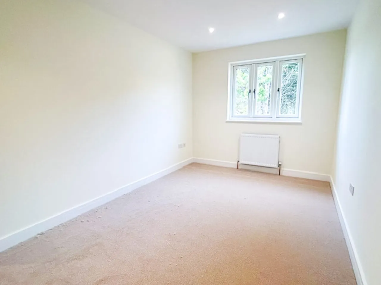 Wilvesfield Green, Haywards Heath, photo 6