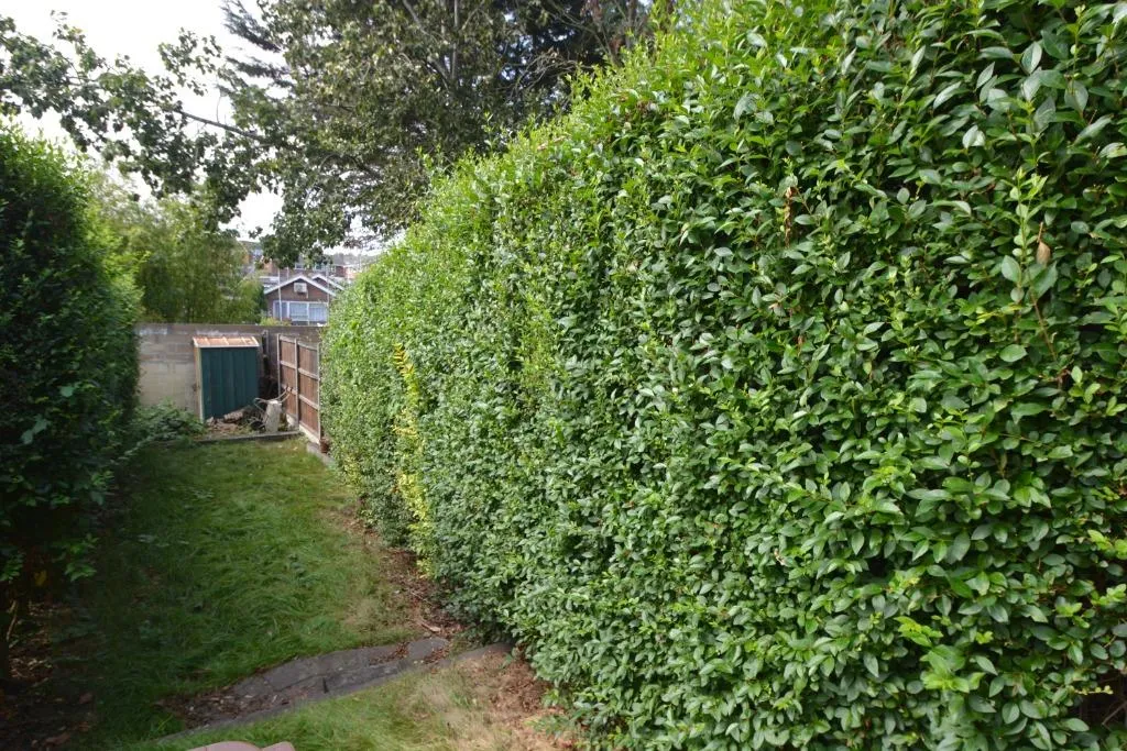 Gertrude Road, Norwich, NR3, photo 6