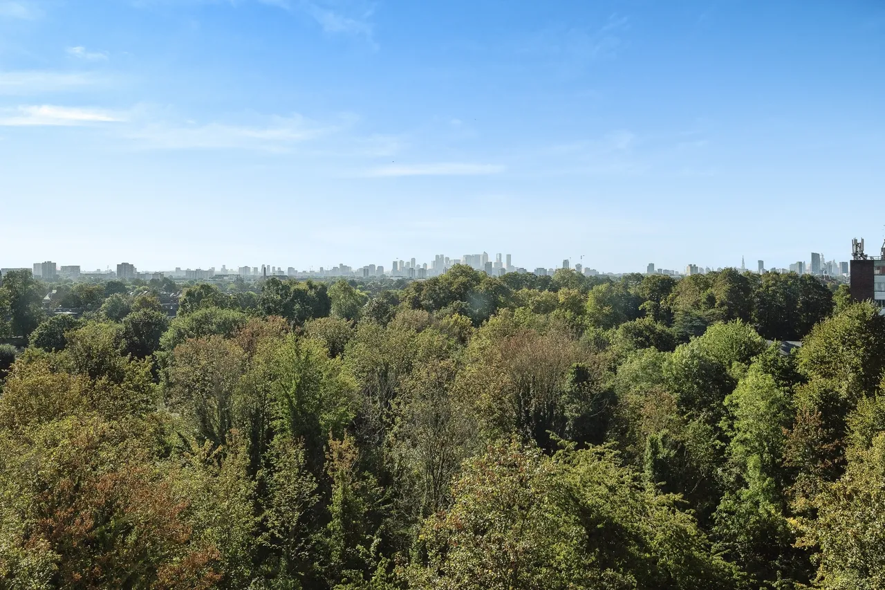 Romford Road, London, E7, photo 14