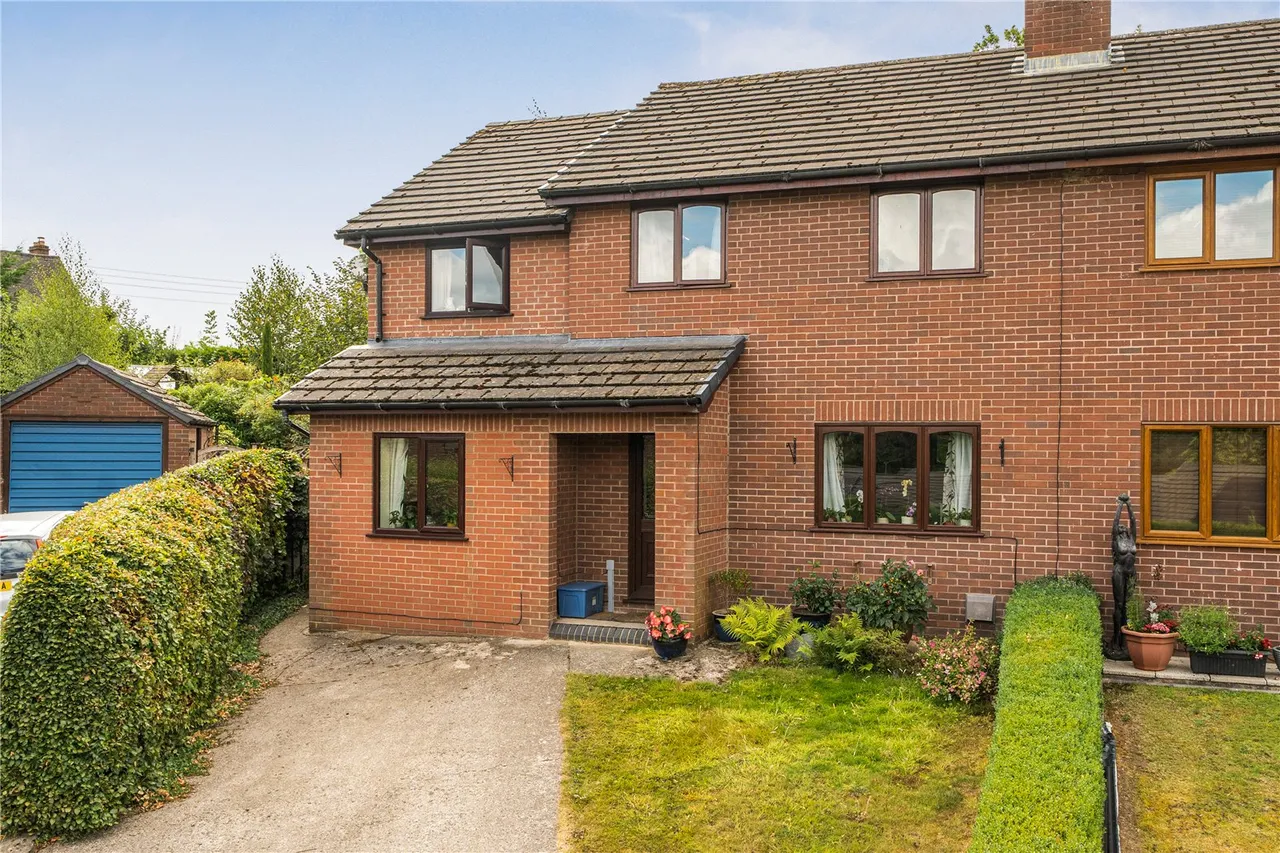 Ffordd Newydd, Bettws Cedewain, Newtown, Powys, SY16 3DR, photo 22