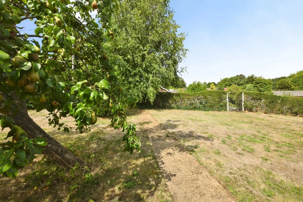 Nicholas Close, Brading, PO36, photo 36
