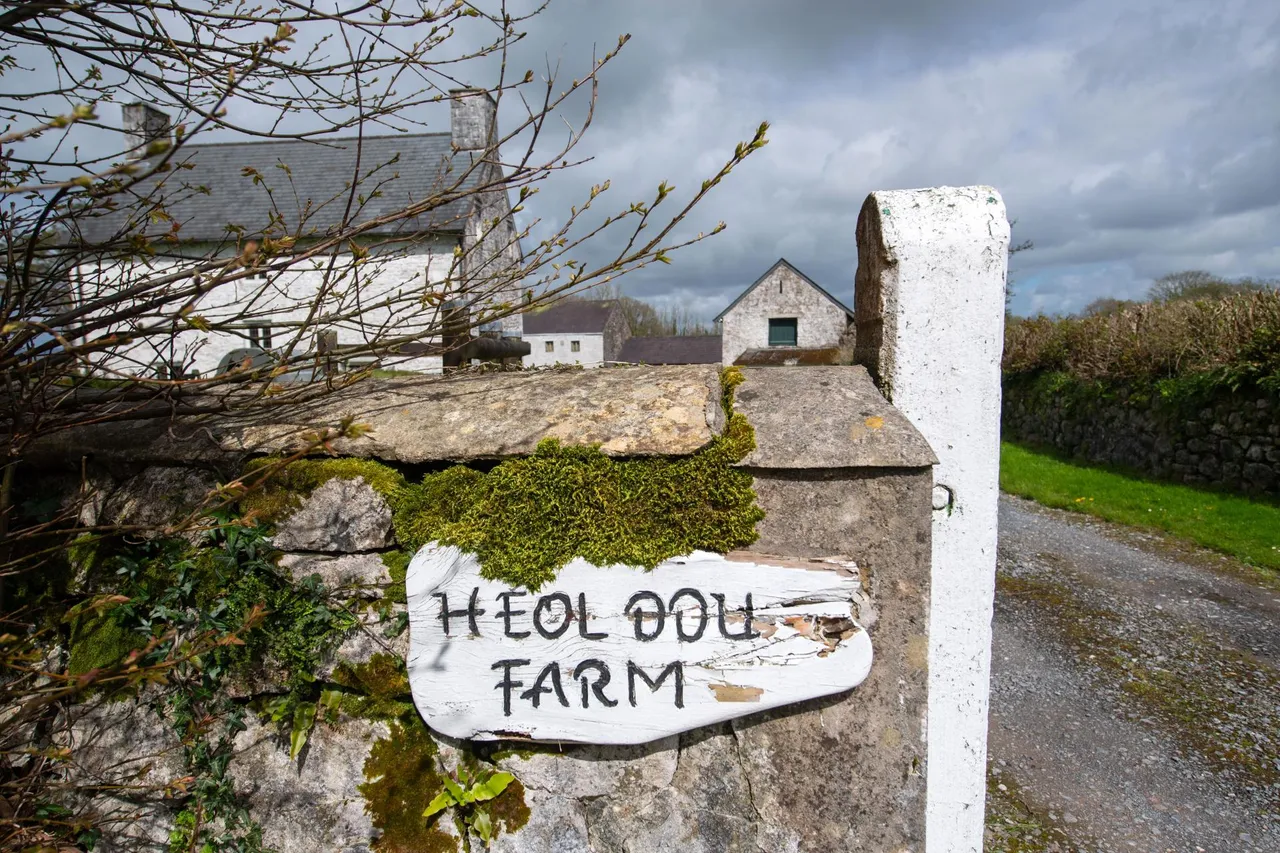 Heol Ddu Farm, Cefneithin, photo 3