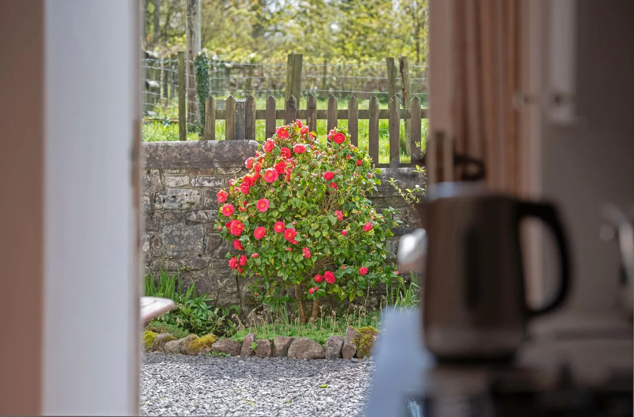 Heol Ddu Farm, Cefneithin, photo 9