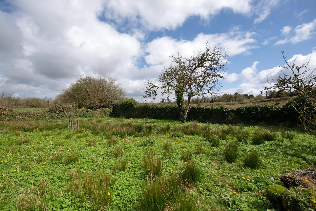 Heol Ddu Farm, Cefneithin, photo 44