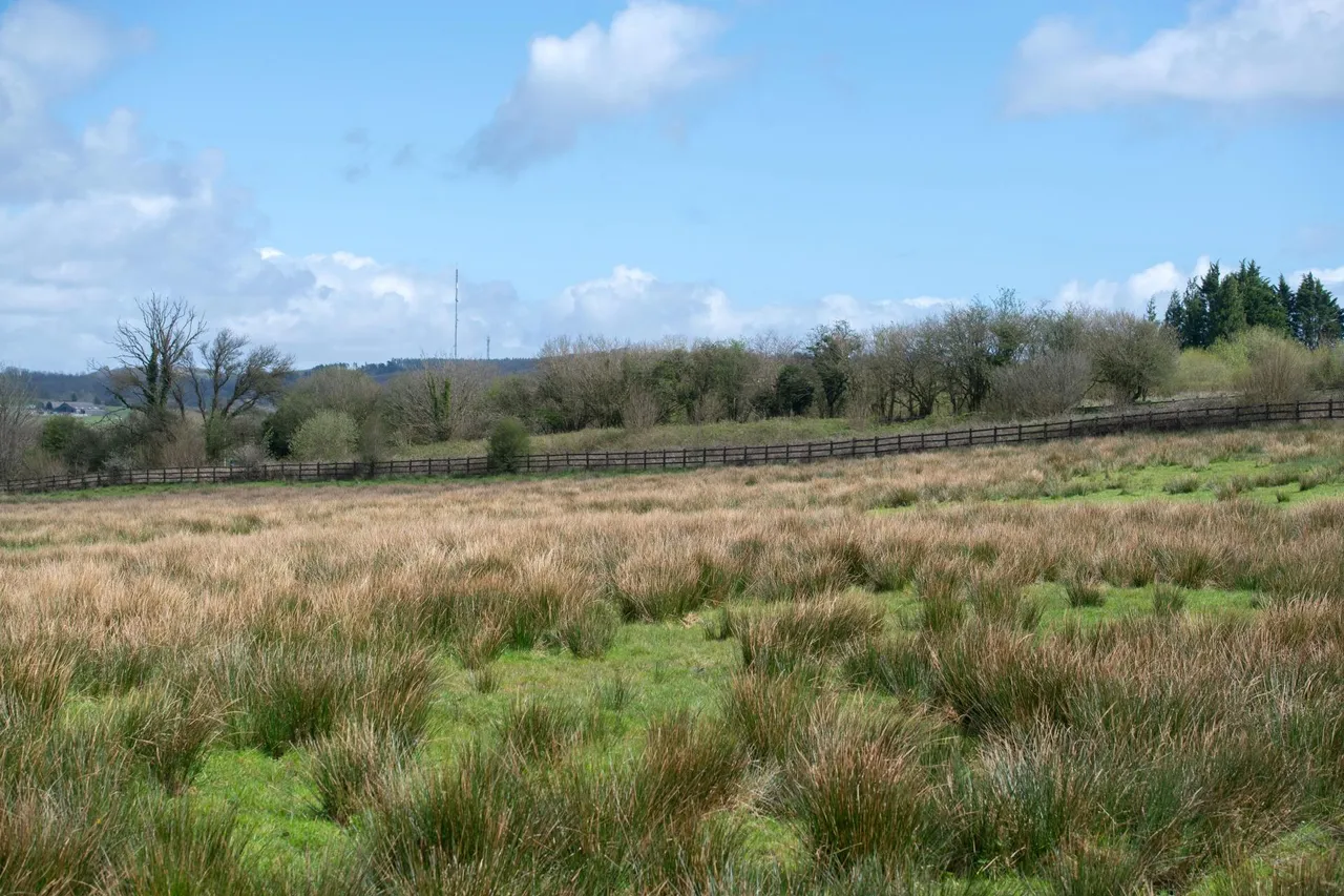 Heol Ddu Farm, Cefneithin, photo 35