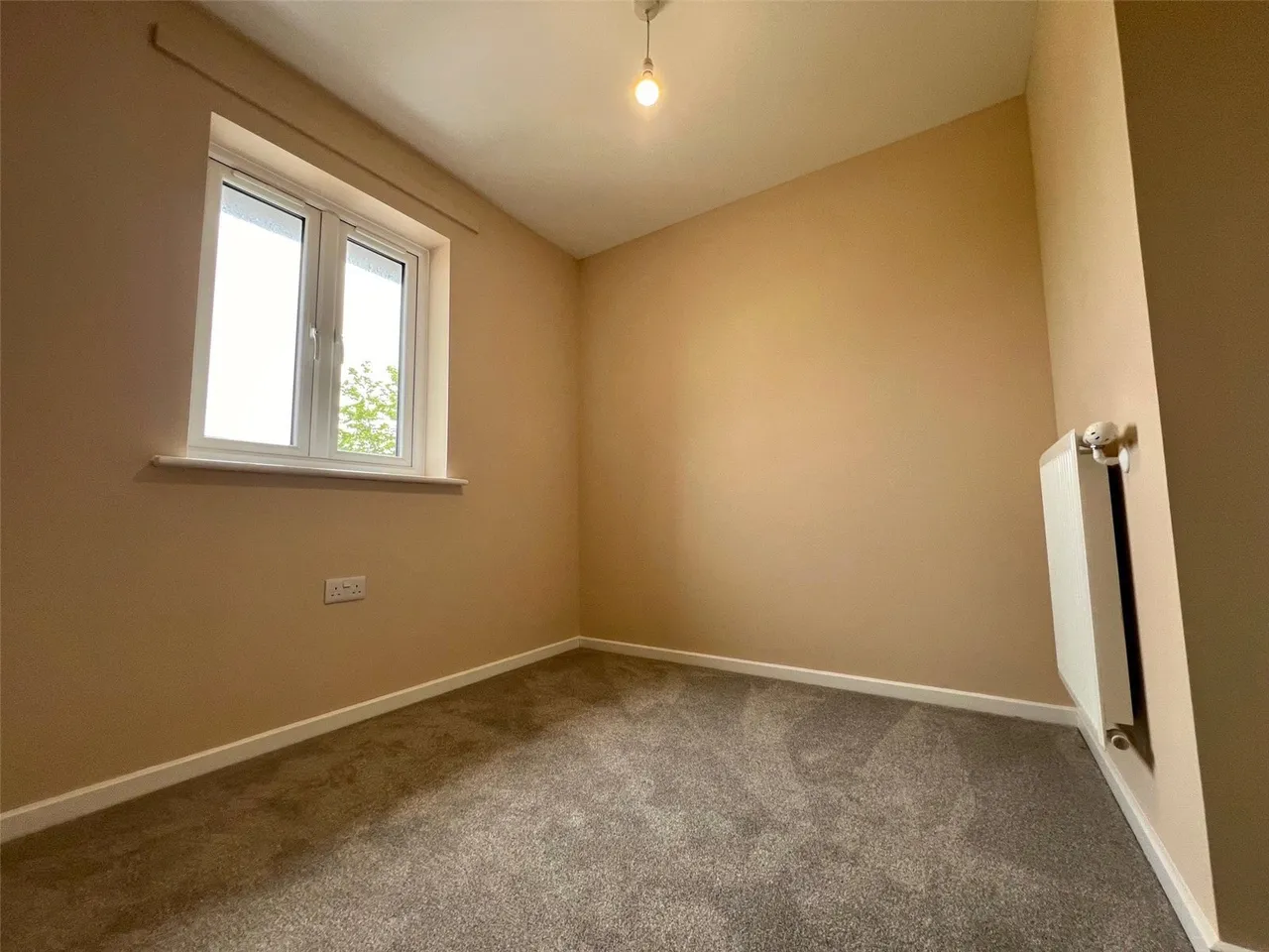 Cwm Y Lladron, Gorseinon, SA4, photo 13