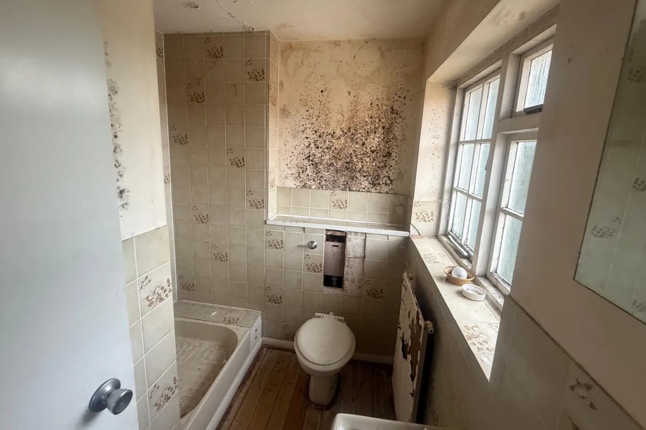 Tansy Close, Guildford, GU4, photo 5