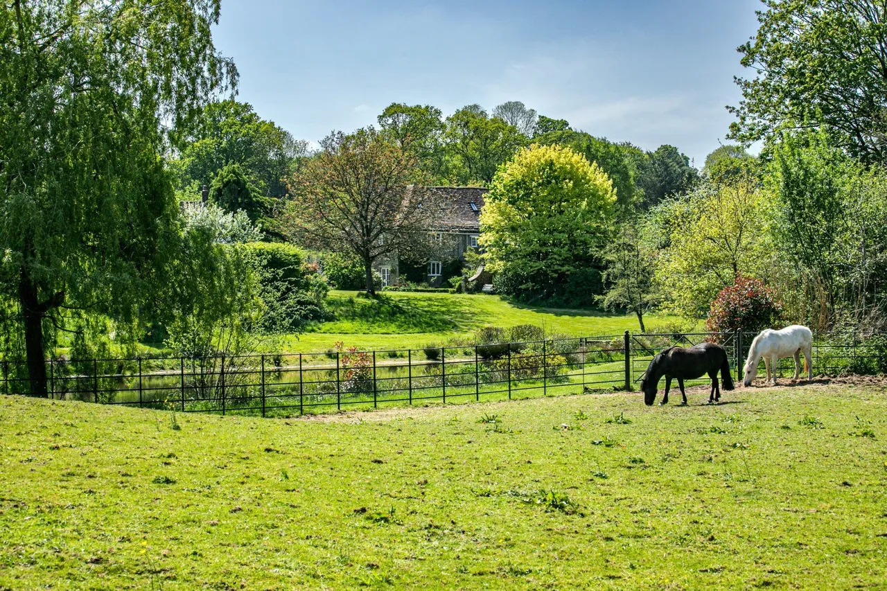 South Brewham, Bruton, BA10, photo 28