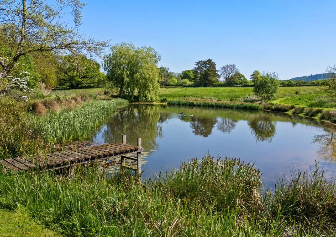South Brewham, Bruton, BA10, photo 26