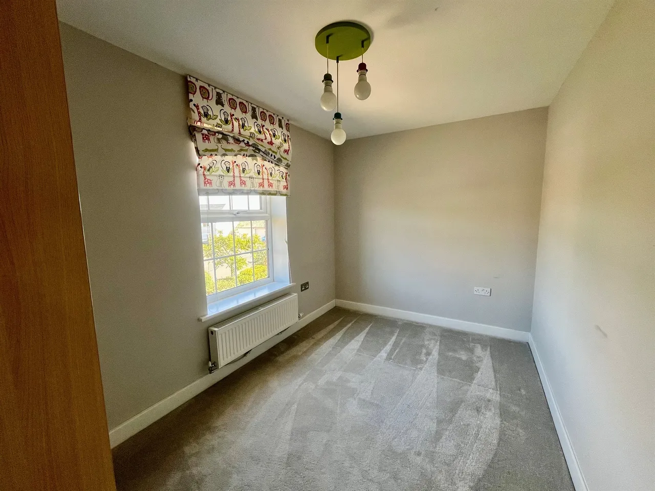 Mahaddie Way, Huntingdon, PE28, photo 10