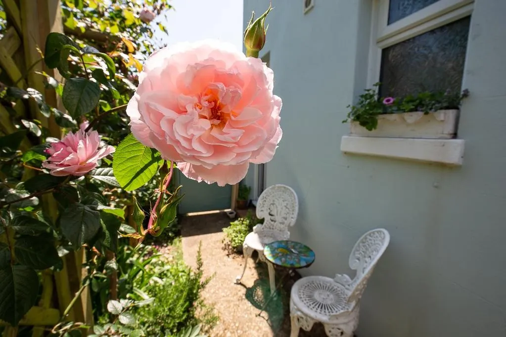 Madeira Avenue, Worthing, photo 12