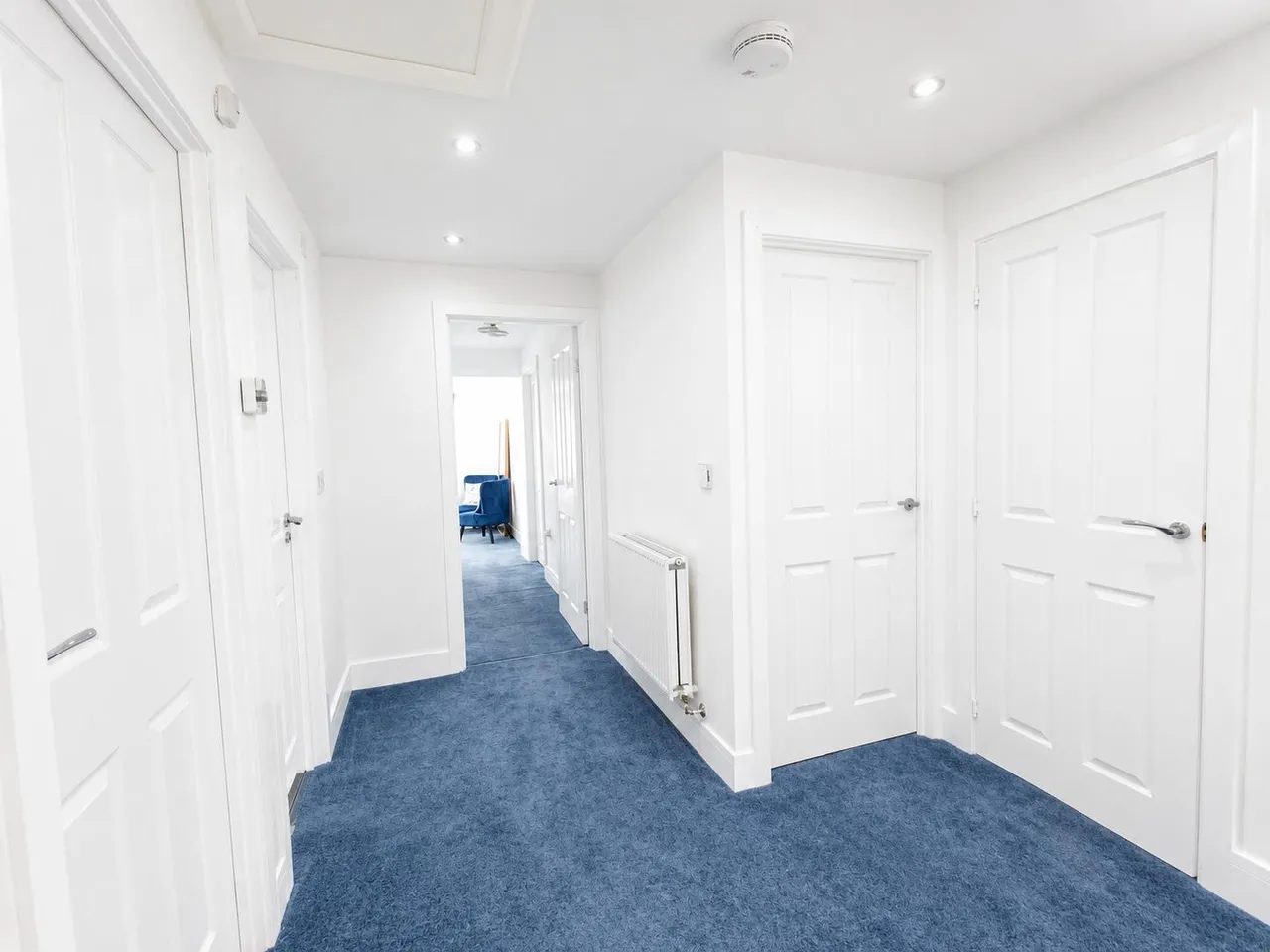 Iris Grove, Darlington, DL1, photo 15