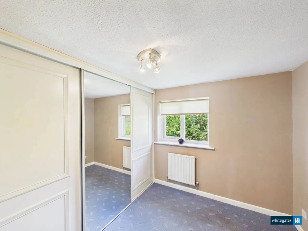 The Beeches, Hope, LL12, photo 16