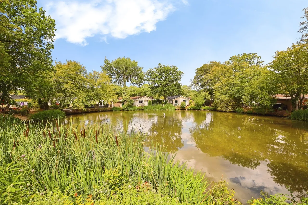 Deanland Wood Park, Golden Cross, BN27, photo 20