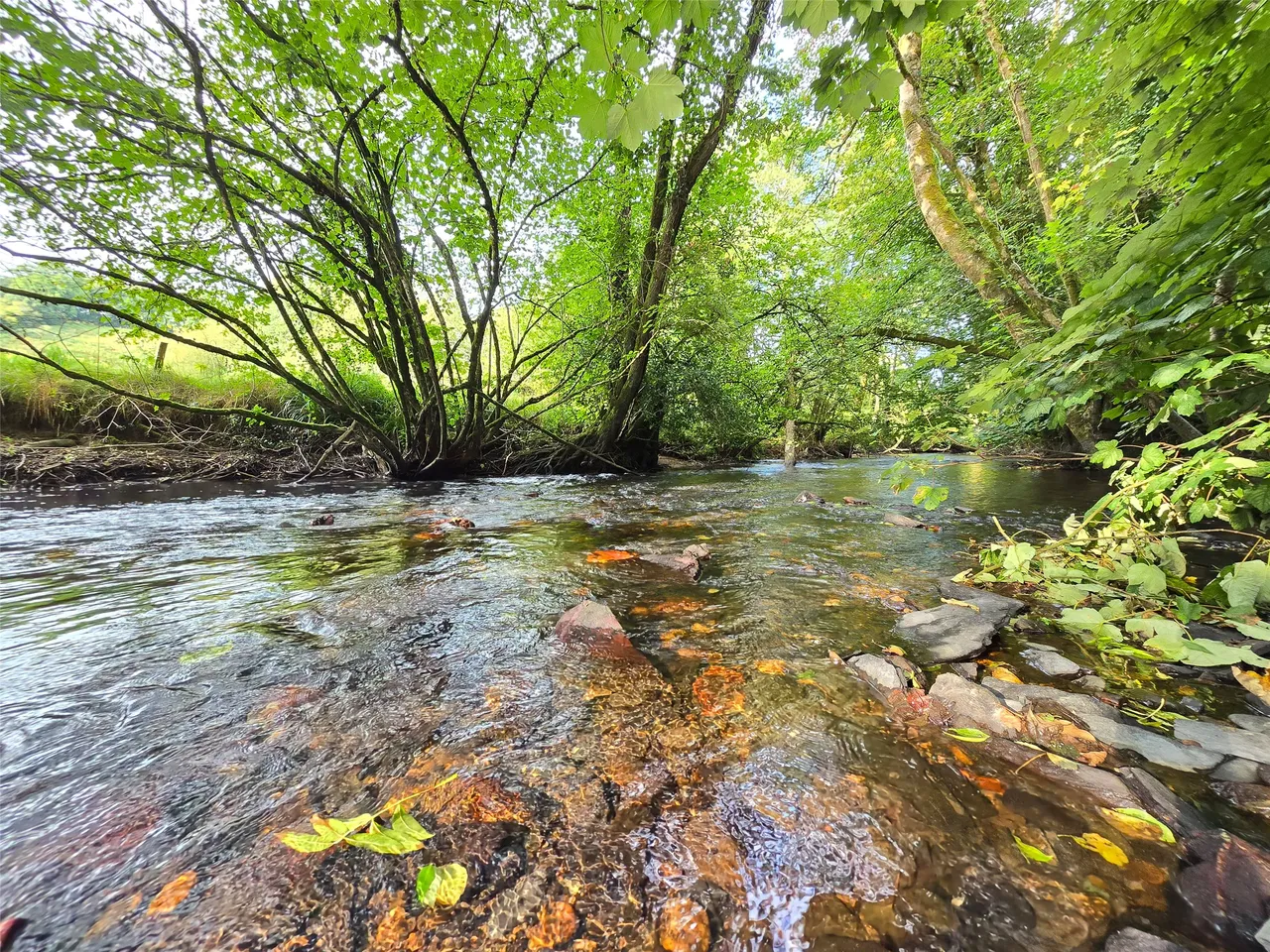 Beals Mill, Callington, PL17, photo 2