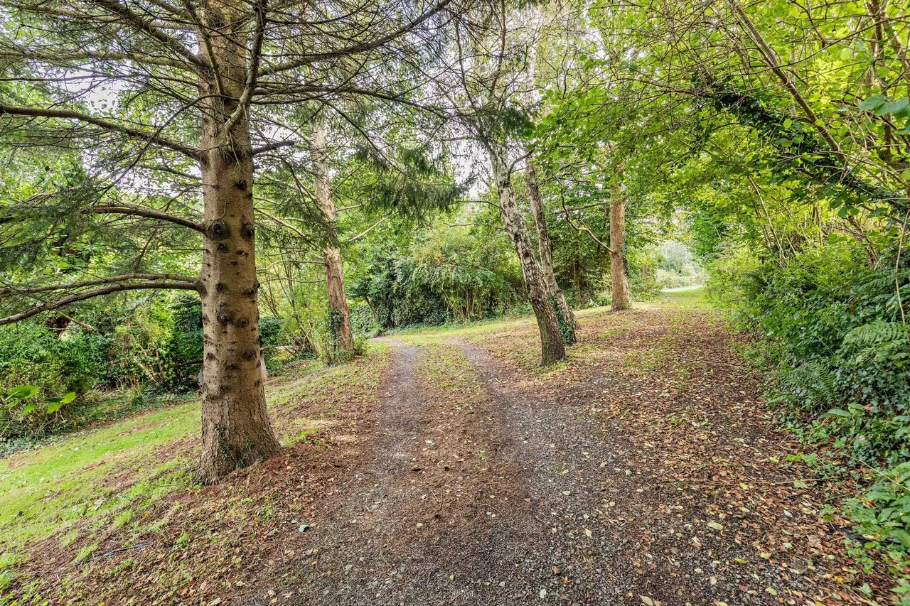 Higher Rocombe, Newton Abbot, TQ12, photo 3