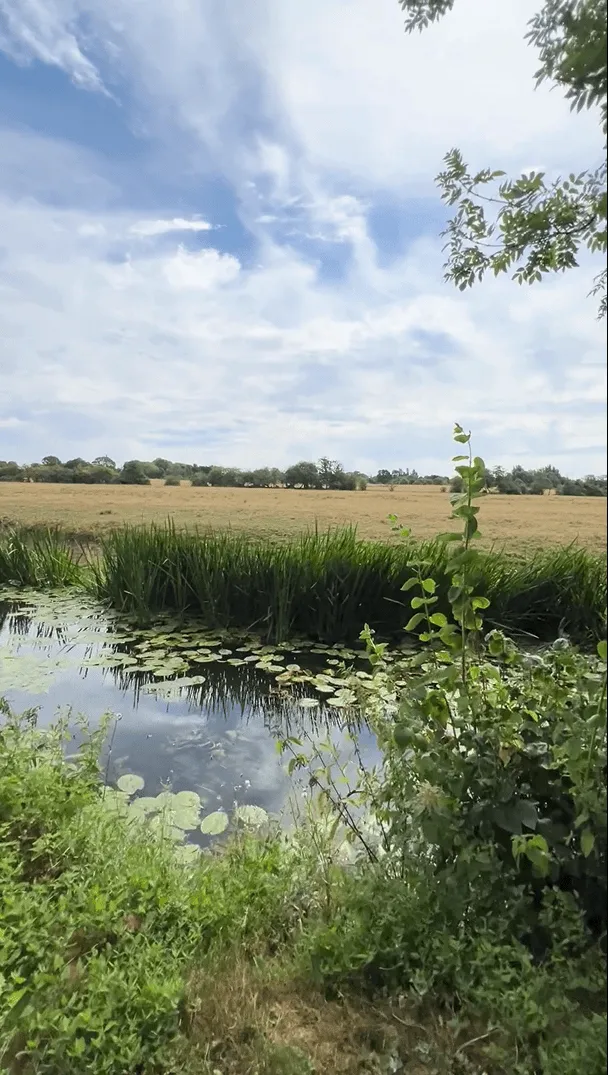Enderby, Leicester, photo 22