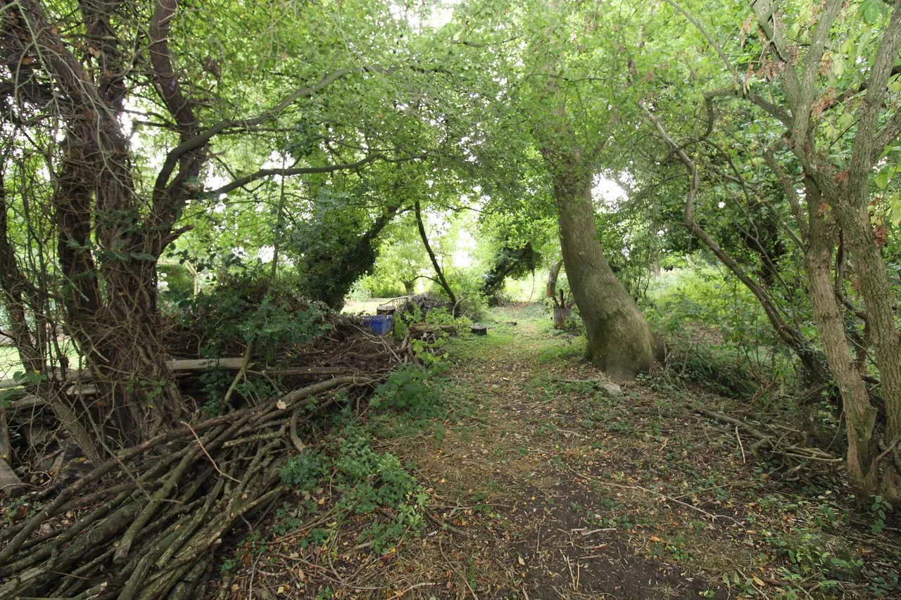 Enderby, Leicester, photo 20