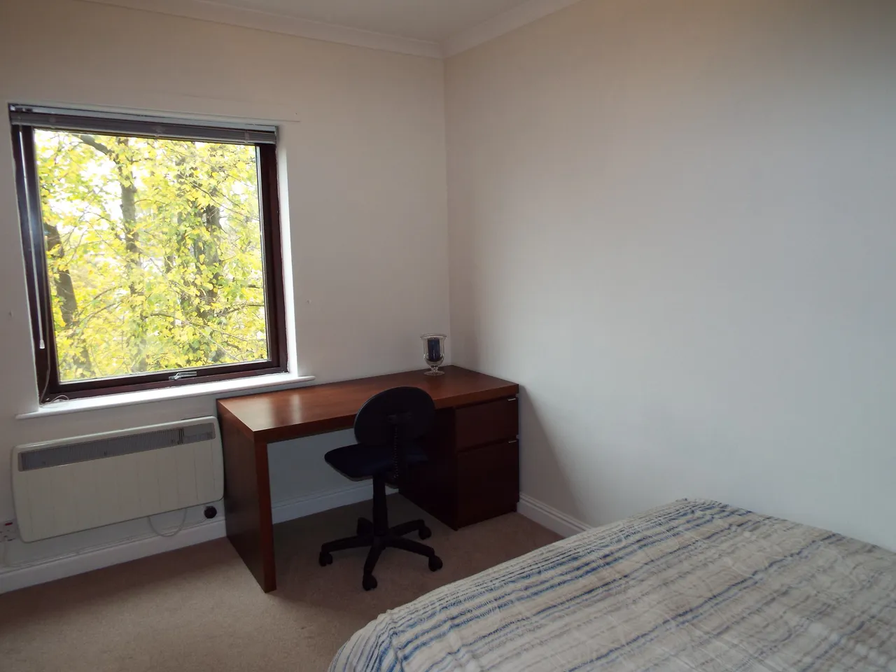 Mapleton Court, LE1, photo 6