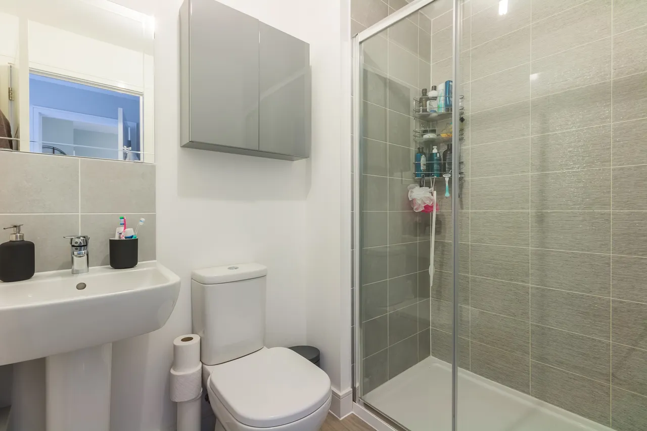16 Narrowleaf Drive, RINGWOOD, Ringwood, BH24 3FS, photo 8