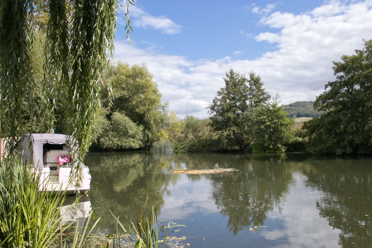 The Willow Falls, Bath, BA1, photo 36