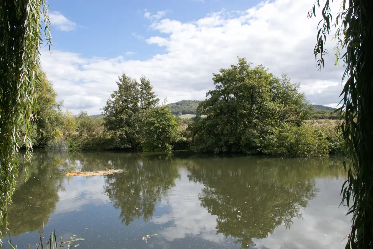 The Willow Falls, Bath, BA1, photo 37