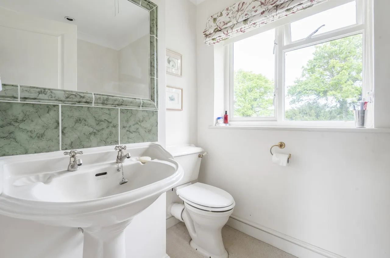 Gascoigne Lane, Ropley, SO24, photo 13