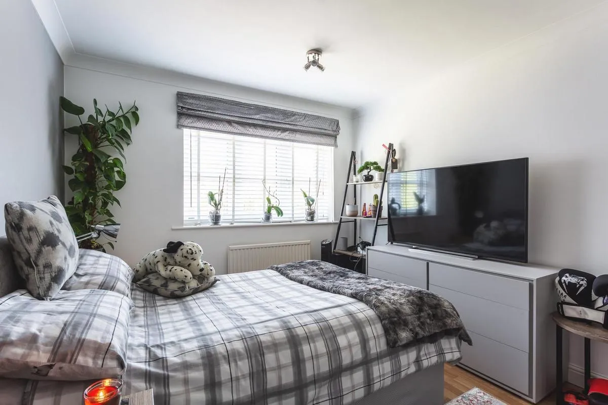 Broadmeadows, South Normanton, DE55, photo 23