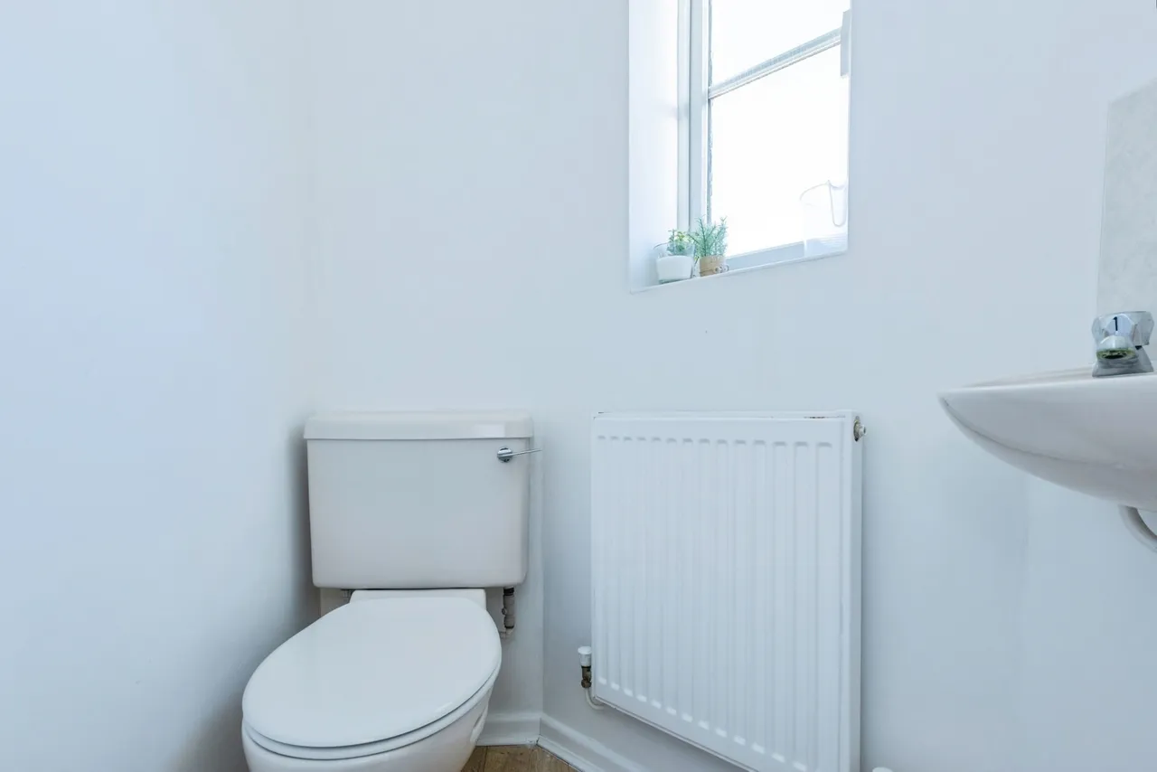 Coltsfoot Road, Hamilton, LE5, photo 10