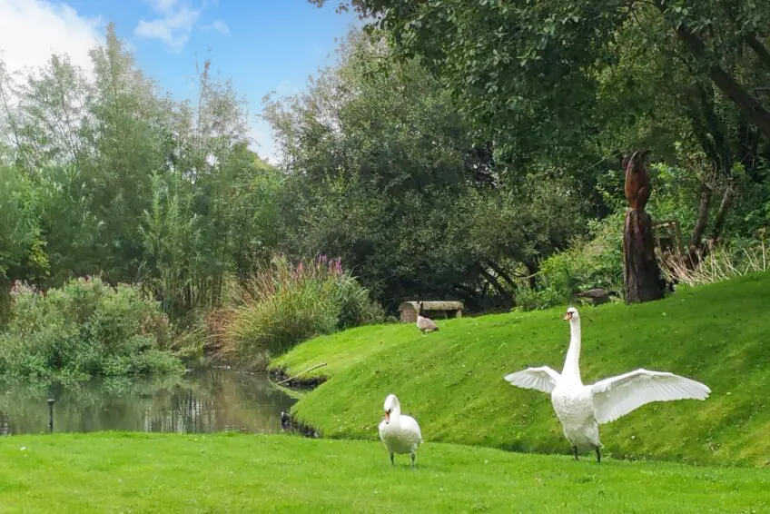 Secret Garden, Hopefold Drive, Worsley, Manchester, M28 3PW, photo 59