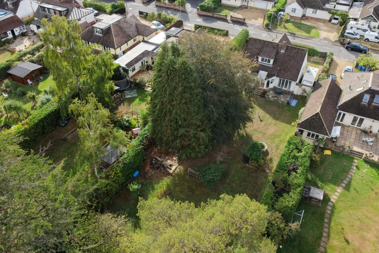 Greenwood Avenue, BH22, photo 23