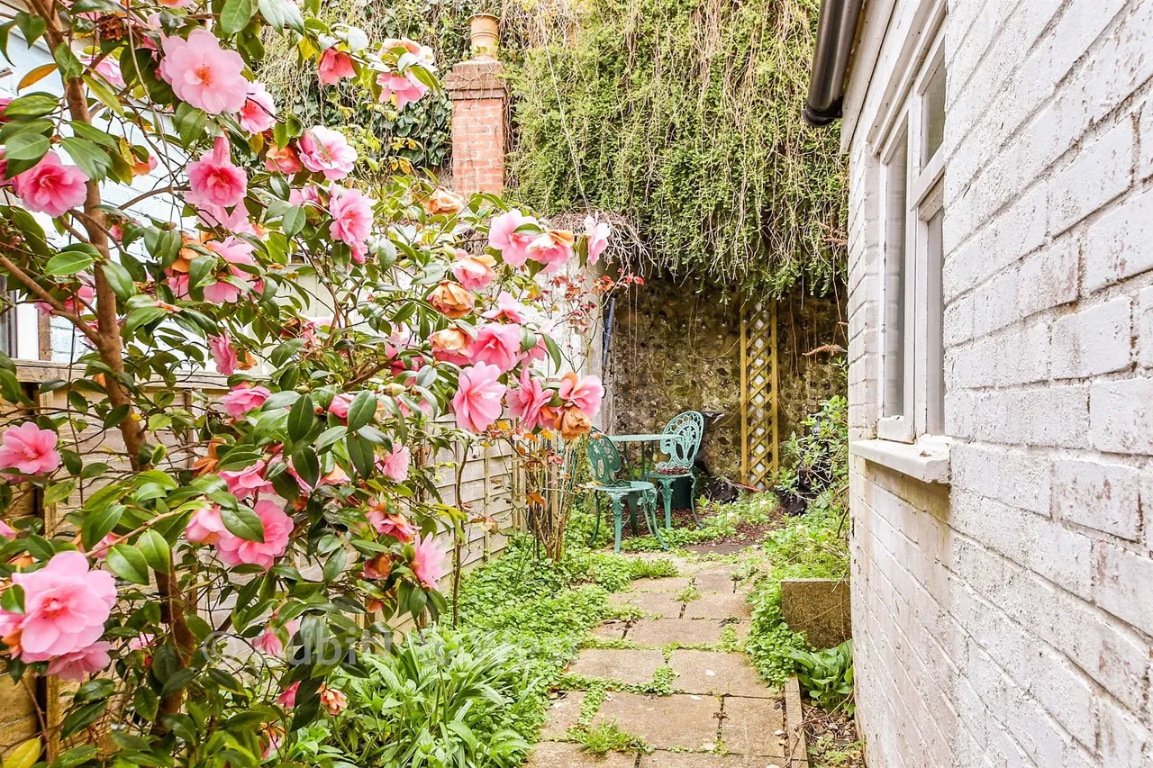 New Road, Lewes, BN7, photo 9