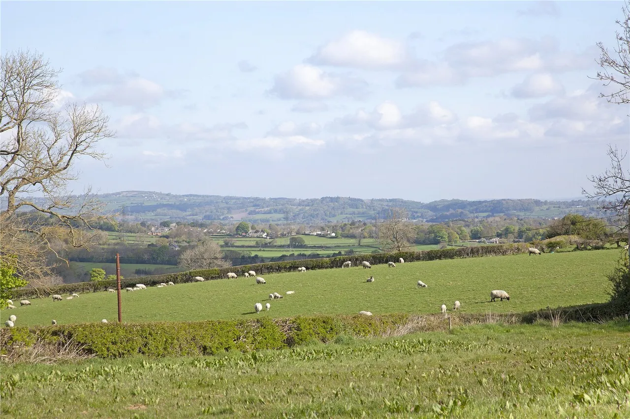 Treuddyn, Mold, CH7, photo 29