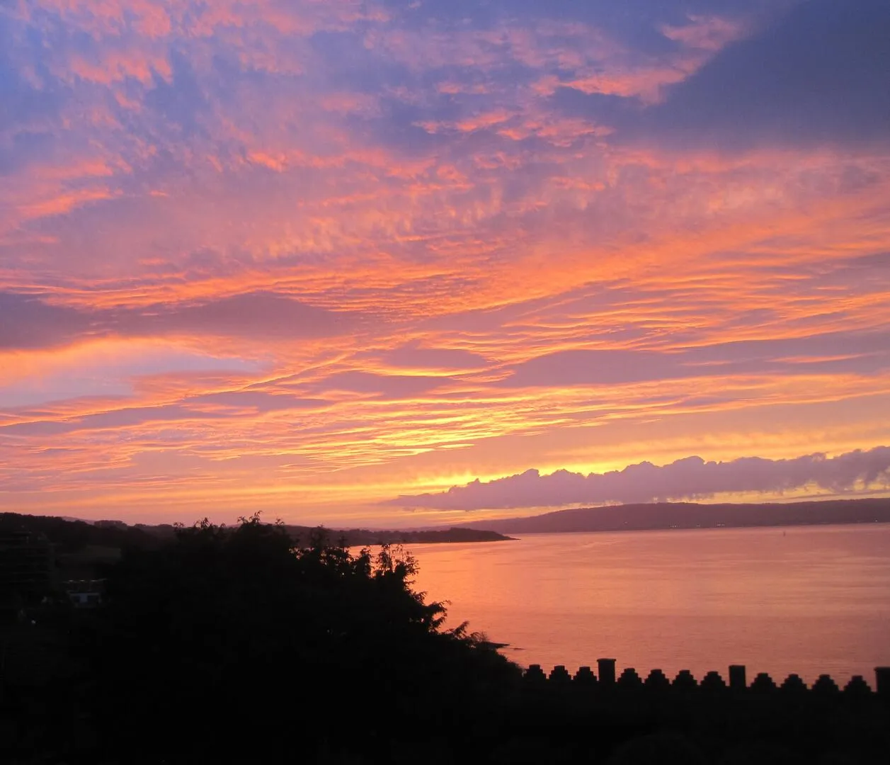 Seacourt Maxwell Drive, bangor, BT20, photo 41