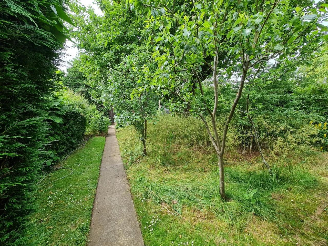 Vicarage Road, Milton Keynes, MK2, photo 24
